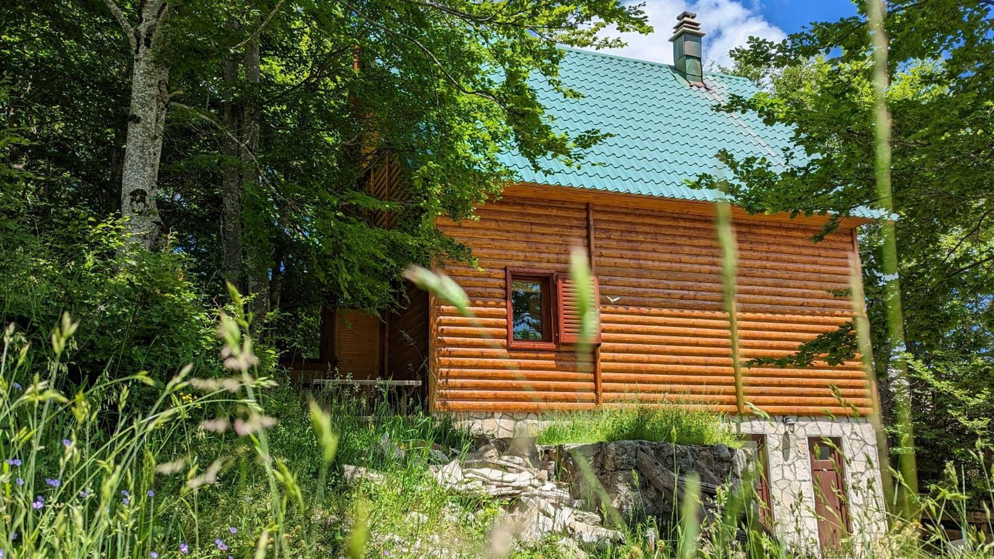 Apartments Nikcevic Zabljak Dış mekan fotoğraf
